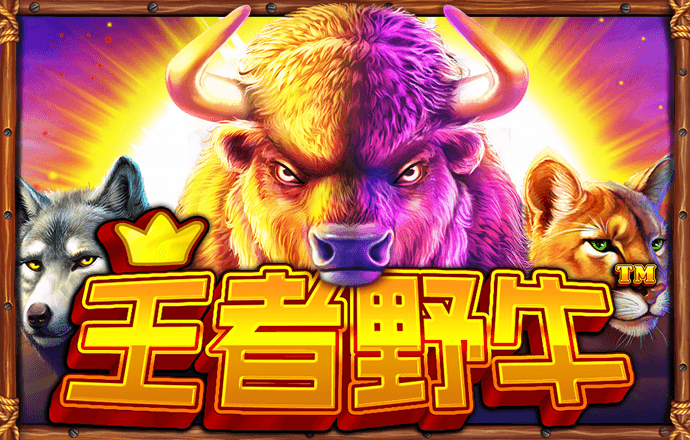 贝博体育ballbet网页版