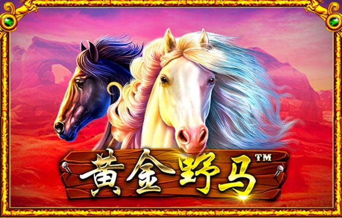 加拿大pc平台入口